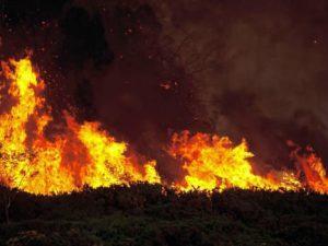 Curso de Extinción de Incendios Forestales