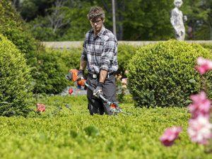 Curso de Jardinero Profesional