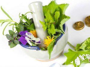 Curso online de Plantas Medicinales