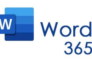 Curso online de Word 365