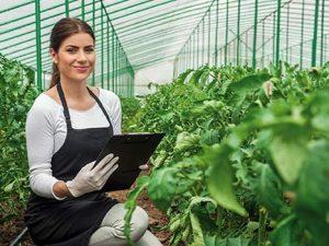 Curso online de Mantenimiento y Manejo de Invernaderos